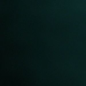 Meet your Posher, Aylin